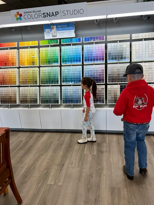 Choosing paint colors at the paint store